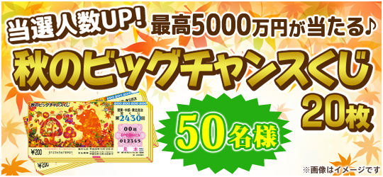 秋のビッグチャンスくじ20枚