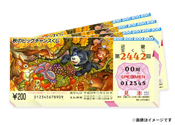 秋のビッグチャンスくじ 1000枚