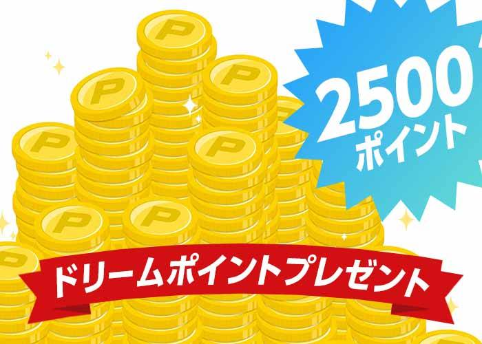 <2人に1人当たる>【ドリームポイント 2500ポイント】